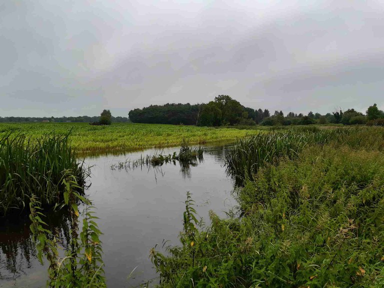 Desselse Nete thv Abergstraat (2021) (foto provincie Antwerpen)