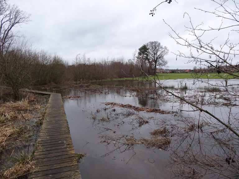 Kleine Nete & Wamp - wateroverlast