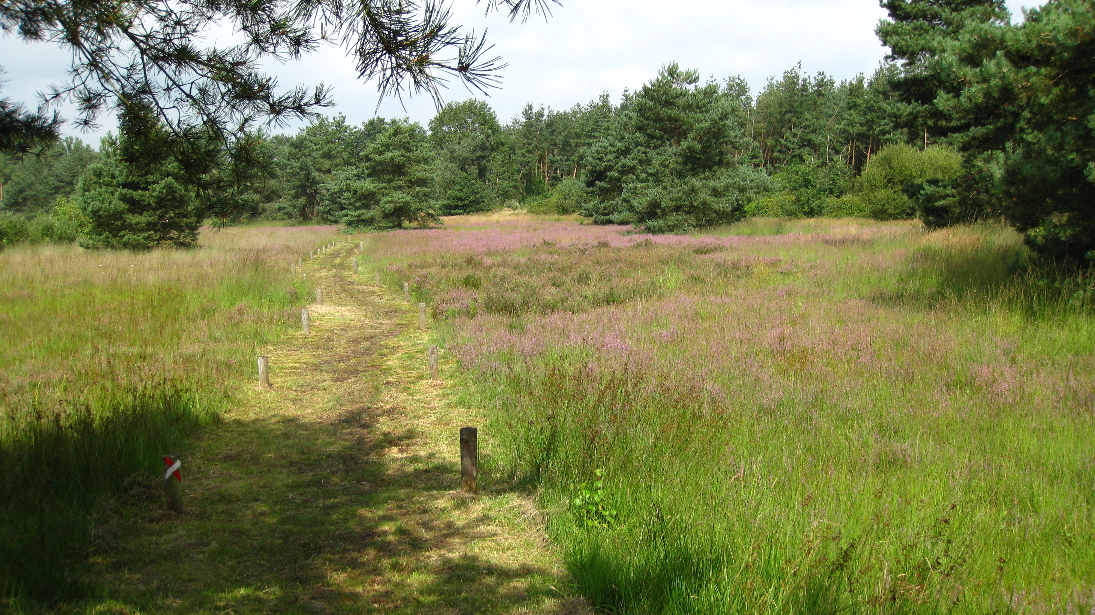 Kleine Nete & Wamp - Goorvijver-heide