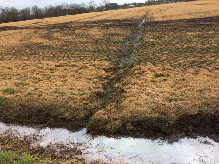 Kleine Nete & Wamp - nutriënten bemest perceel