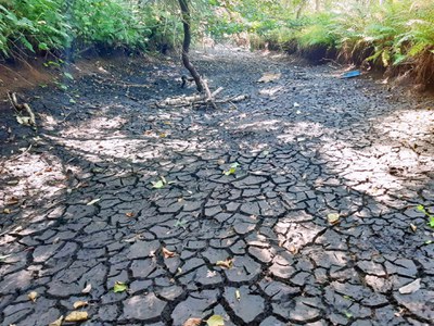 Kleine Nete & Wamp - Rode loop Tikkebroeken