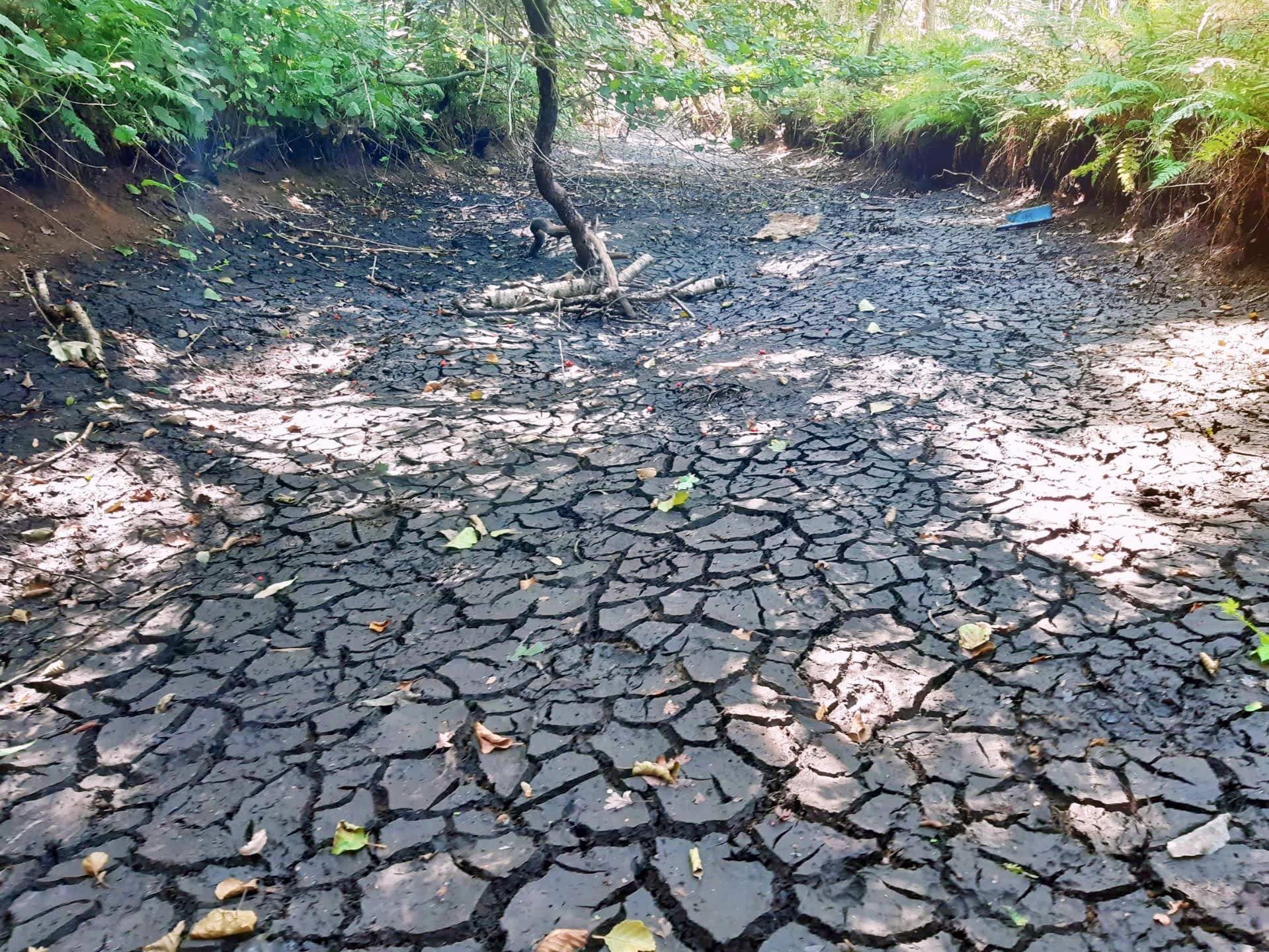 Kleine Nete & Wamp - Rode loop Tikkebroeken