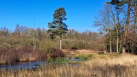 Tikkebroeken