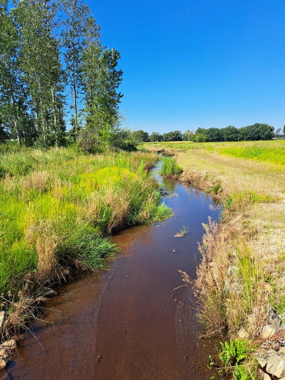 Kleine Nete & Wamp - Voorste Neet