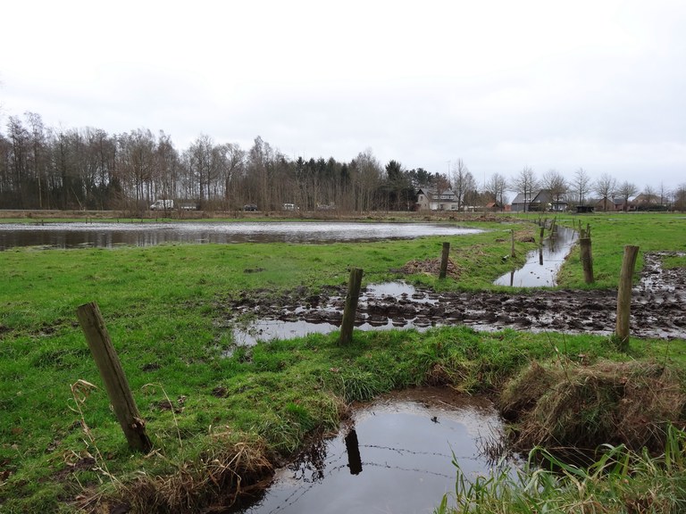 Kleine Nete & Wamp - wateroverlast