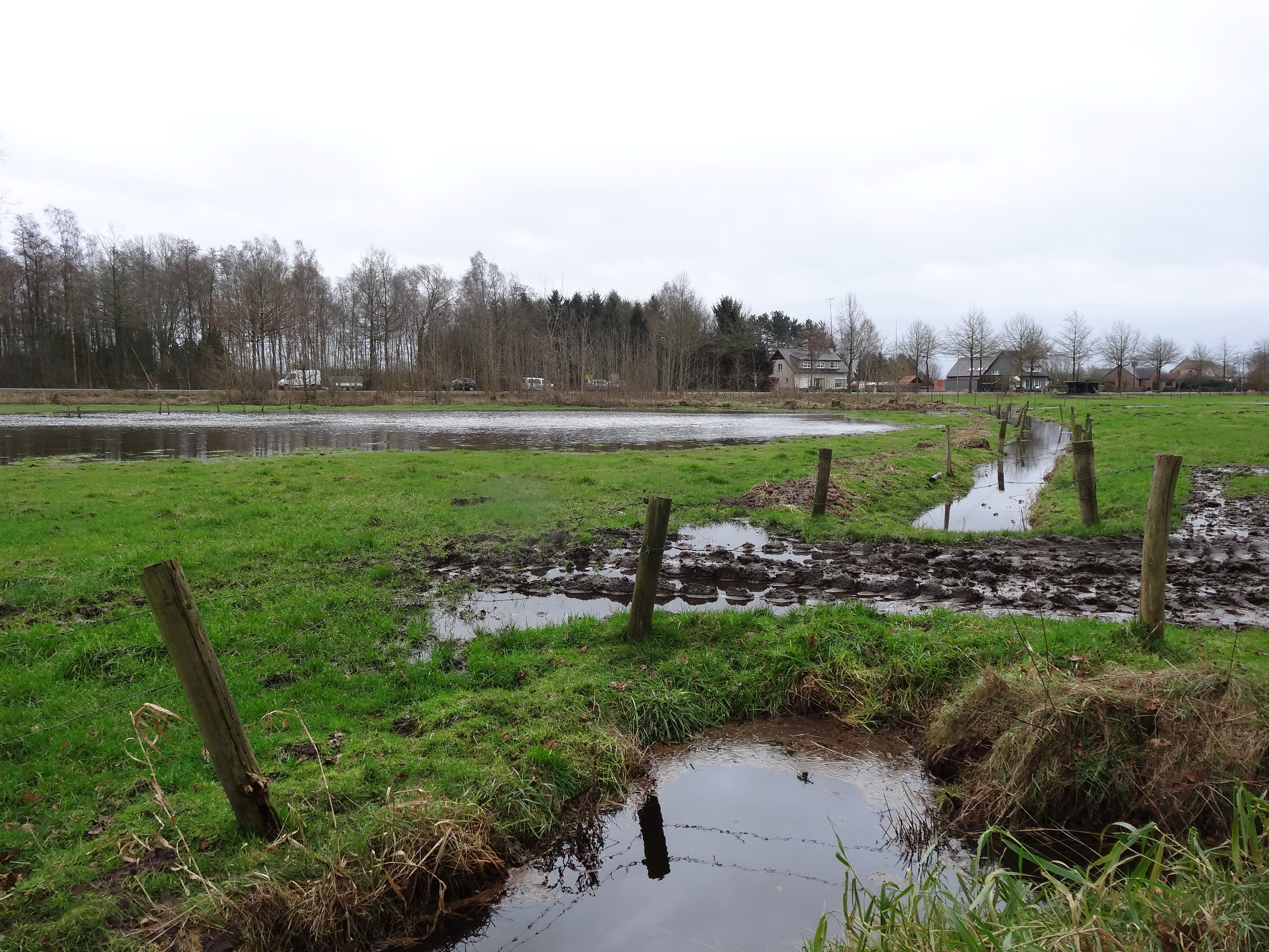 Kleine Nete & Wamp - wateroverlast