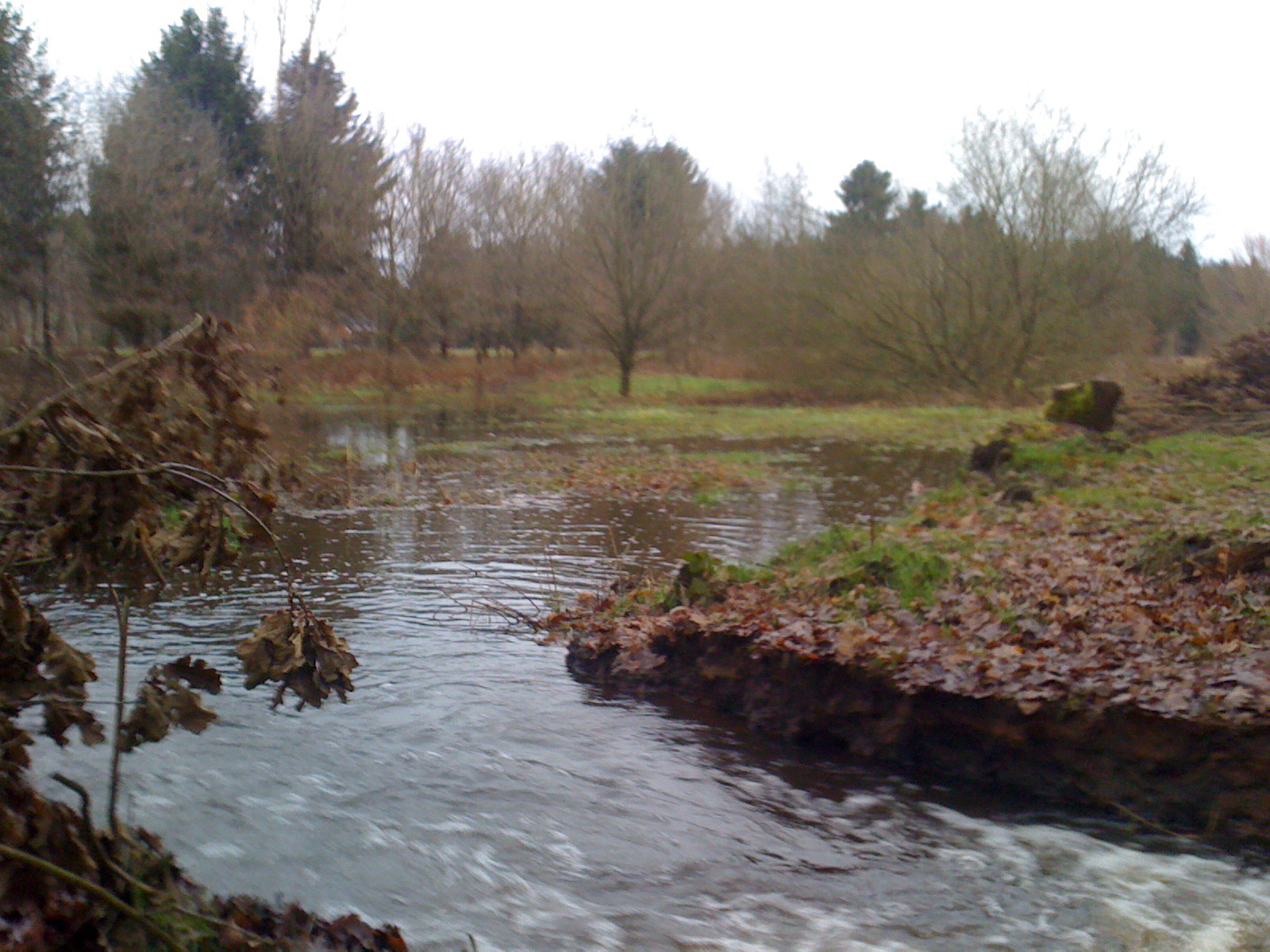 Kleine Nete & Wamp - wateroverlast