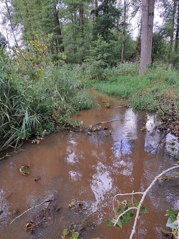 Lovenhoek (Molenbeek)