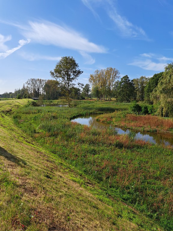 Bollaak afwaarts Netekanaal