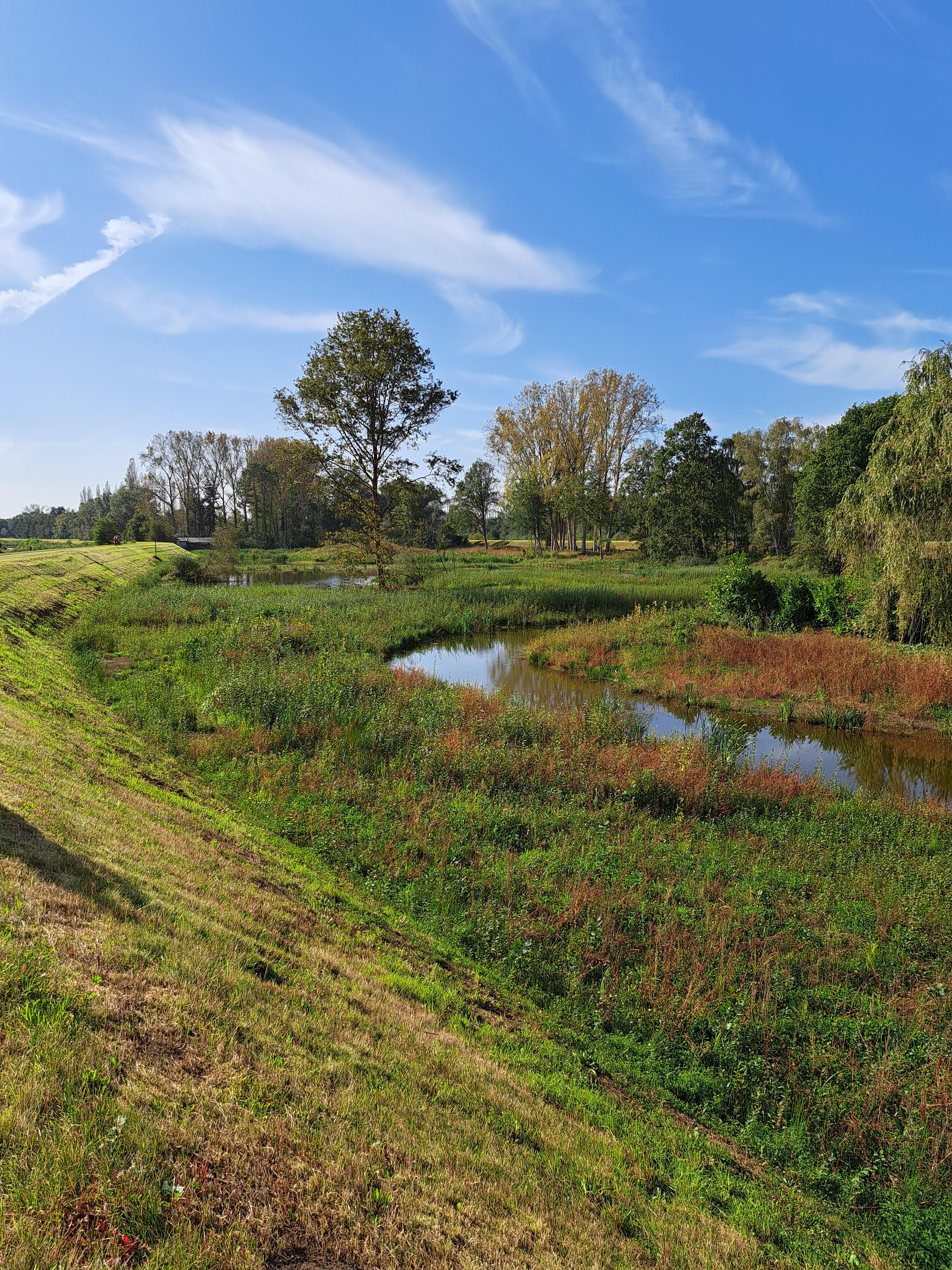 Bollaak afwaarts Netekanaal