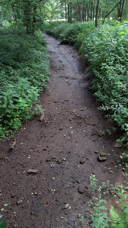 Tappelbeek (droogte 2020)