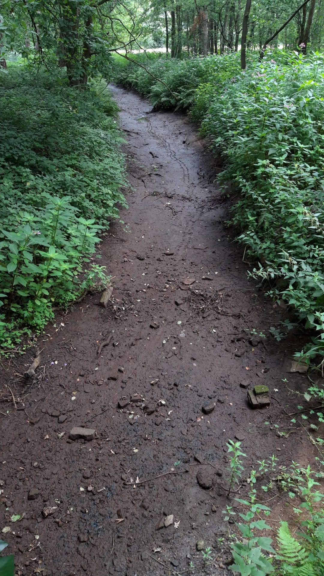 Tappelbeek (droogte 2020)