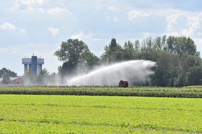 watergebruik landbouw watergebruik landbouw