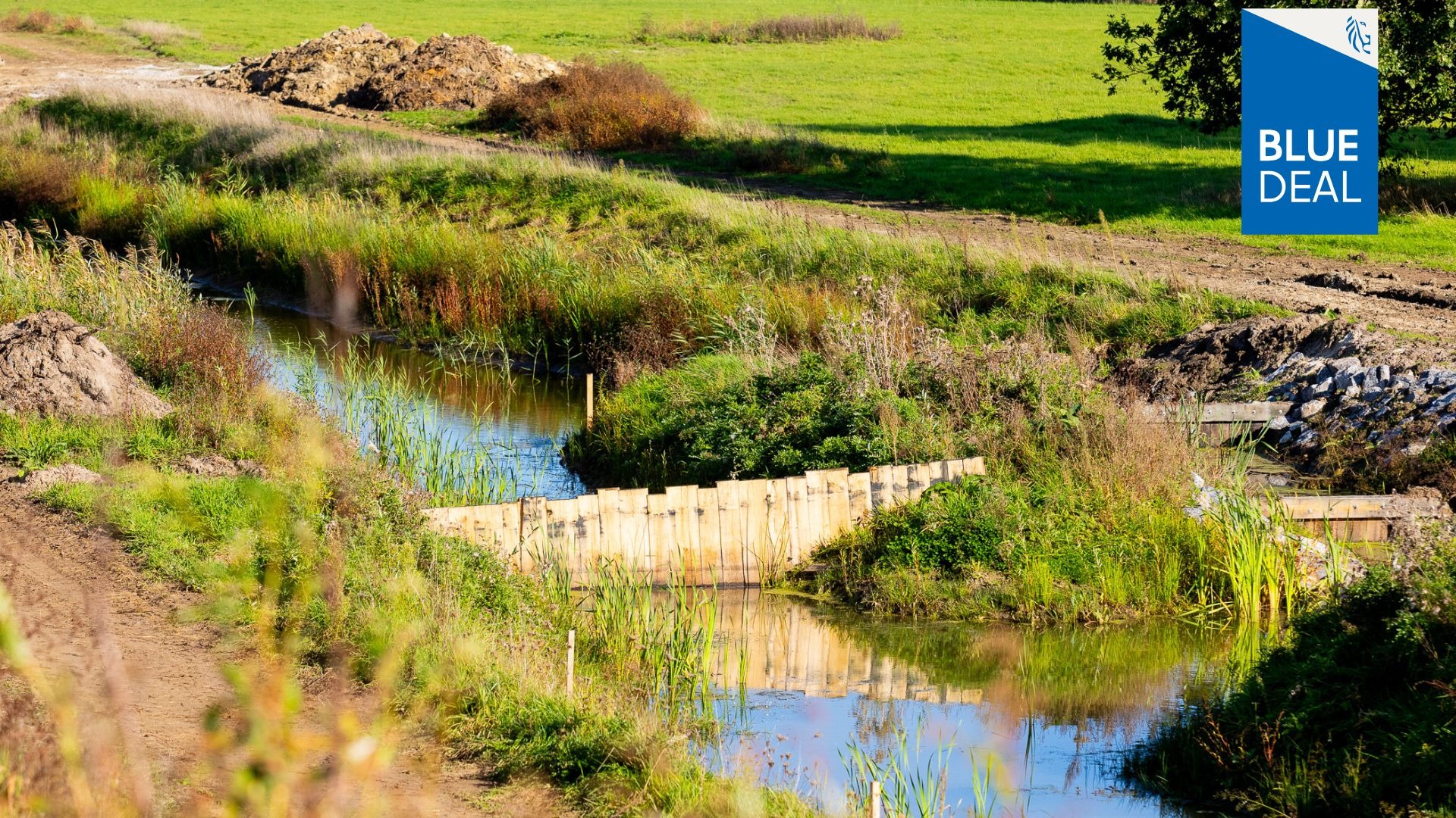 Oproep Lokale Blue Deals