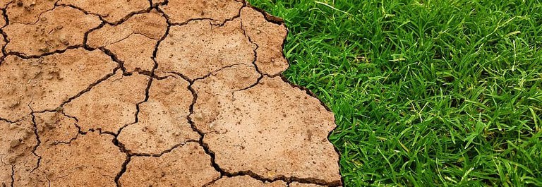 Webinar op 1 april 2021 over de watertoets als instrument voor een klimaatbestendige leefomgeving.