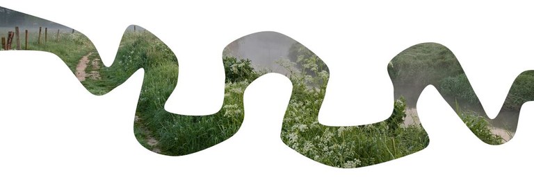 Dijle-Zennedag, 12 november 2024 (2)