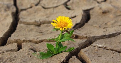 CIW-Waterforum - Samen sterk tegen droogte