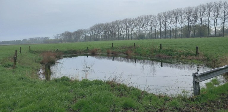 Webinar Hemelwater- en droogteplannen: maatregelen in het buitengebied