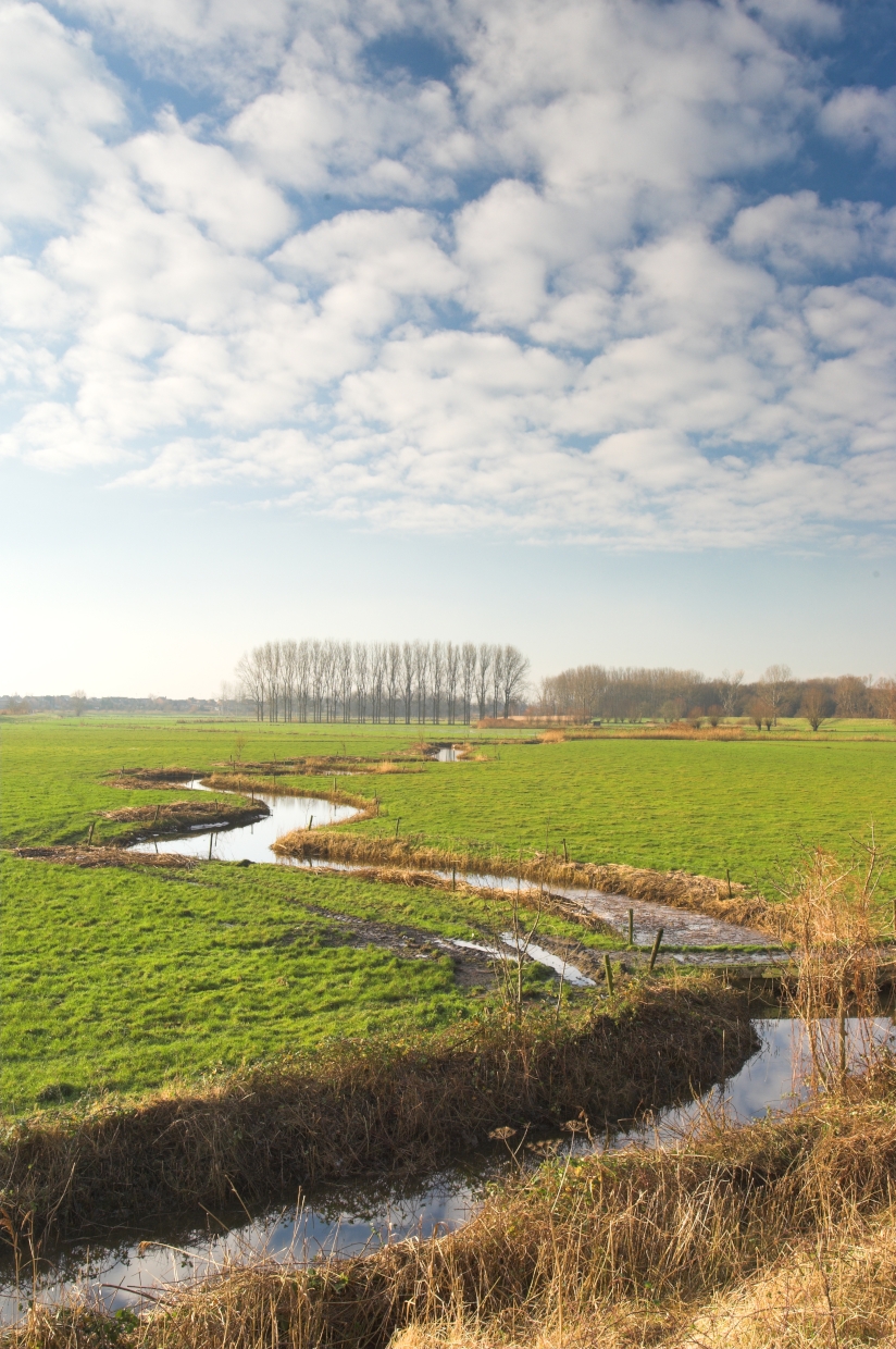 Aanbevelingen BRV