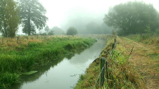 April 2020 - CIW ondersteunt aanbevelingen voor oeverzones