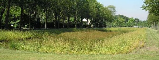 Methodiek Hemelwaterplannen