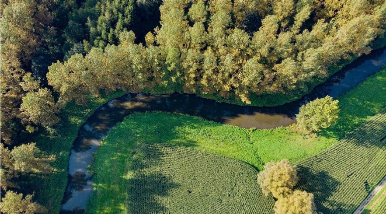 Oeverzone langs waterloop (foto Tom De Bie)