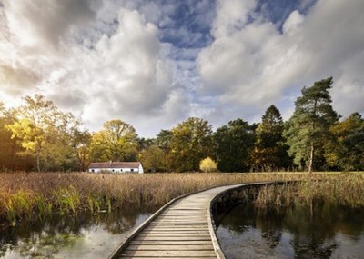 Vernatten van veengebied in Kelchterhoef (Houthalen-Helchteren). Dit Blue Deal- project behoort tot de oproep lokale hefboomprojecten Natte Natuur en kadert binnen het project De Wijers.