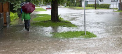 Voorstel voorlopige aanduiding watergevoelige openruimtegebieden