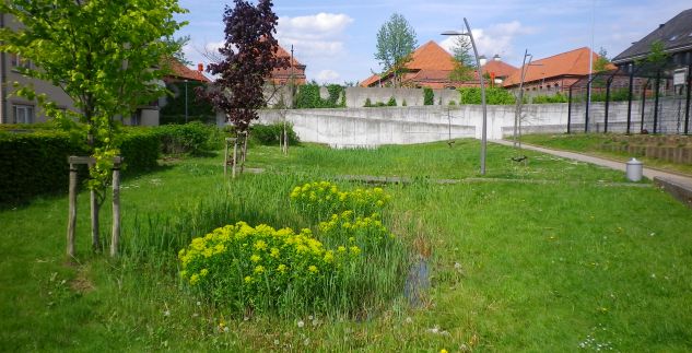 Jan. 26 - Omzendbrief verduidelijkt toepassing GSV Hemelwater bij residentiële gebouwen