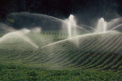 Foto bij nieuwsitem 'Tussentijds evaluatierapport waterschaarste en droogte 2018'