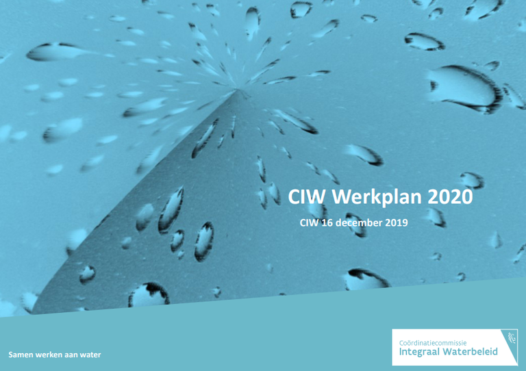 CIW WP 2020