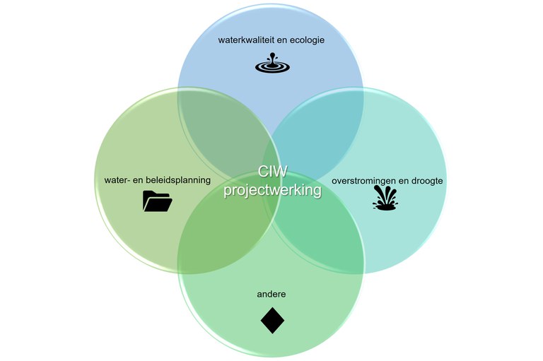 thema-indeling CIW projectgroepen