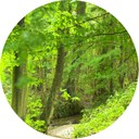 foto Terkleppebeek