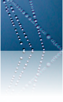 logo platformwerking