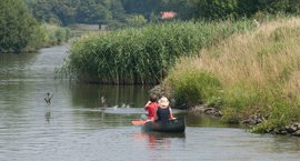 Roeien op het water