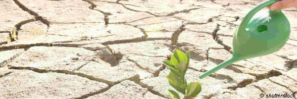 Waterschaarste en Droogte smal